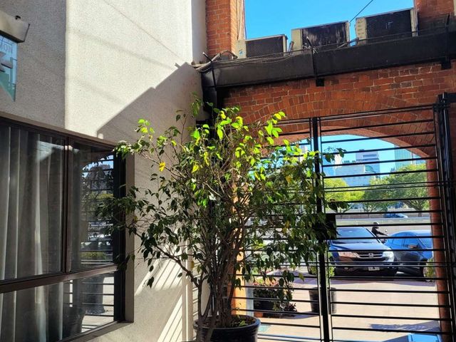place photo 22