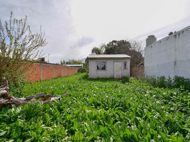 place photo 26
