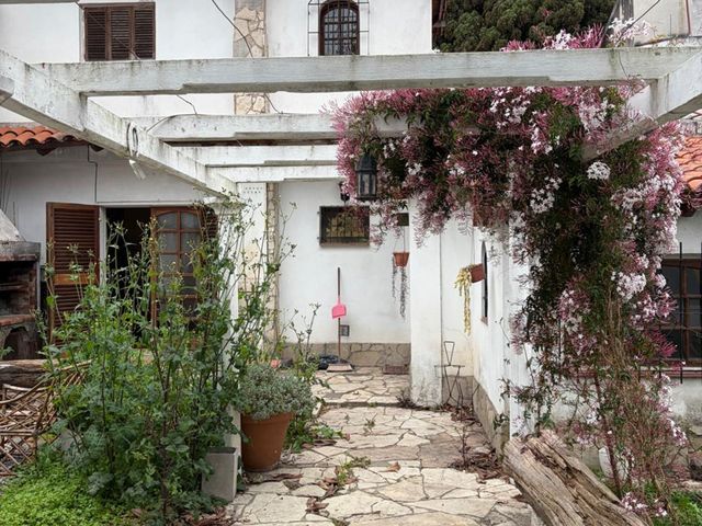 place photo 49