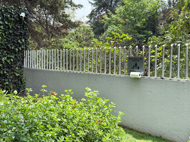 place photo 33