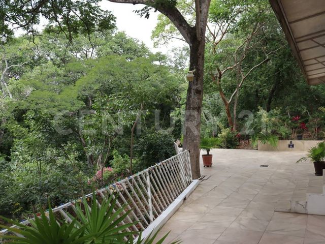 place photo 42