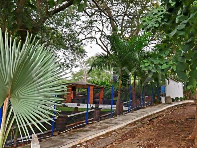 place photo 36