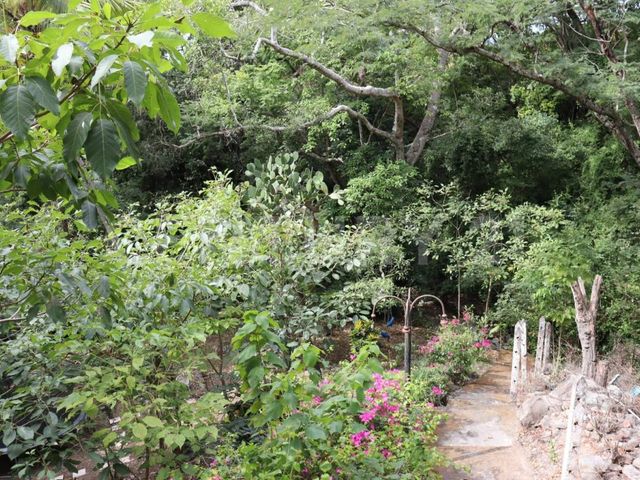 place photo 45