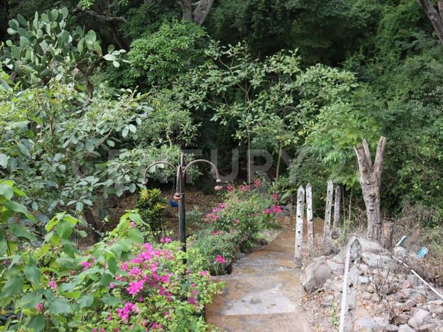 place photo 44