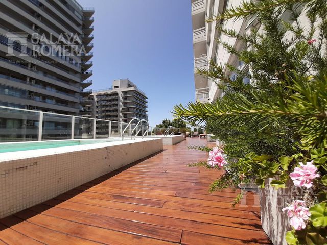 place photo 46