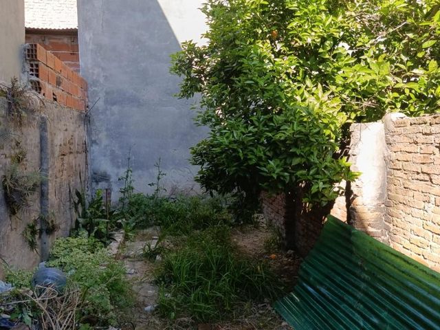 place photo 29