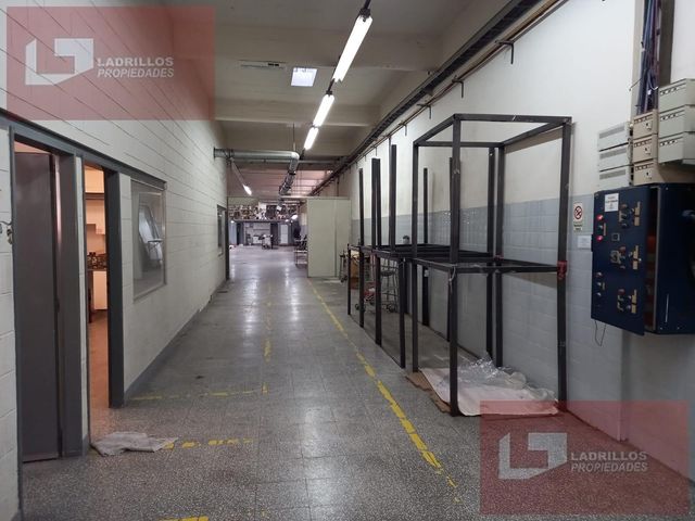 place photo 16