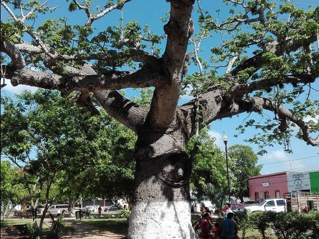 place photo 11