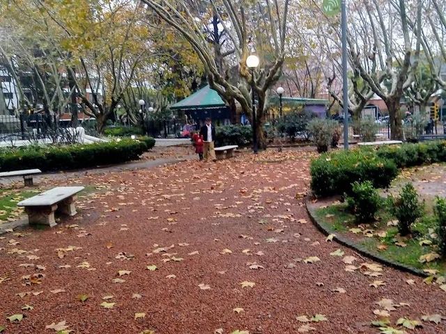 place photo 16