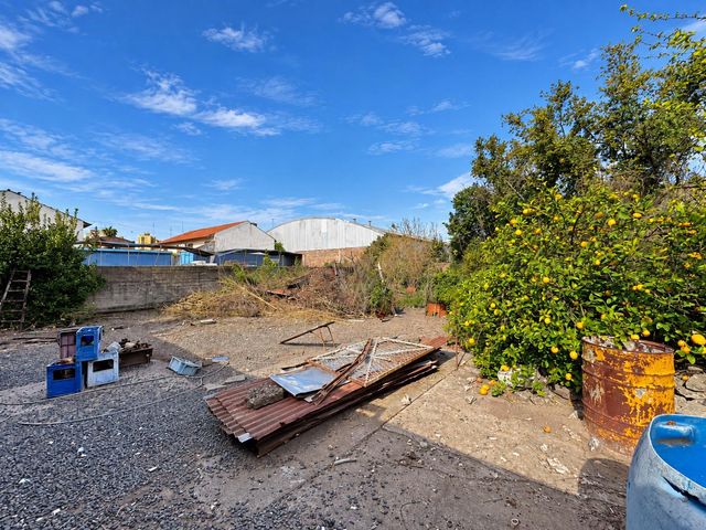 place photo 31