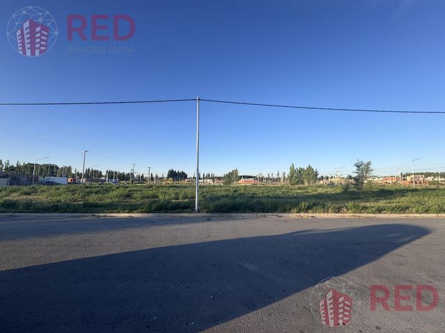 place photo 42