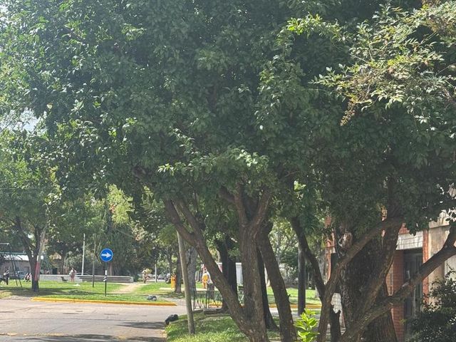 place photo 27