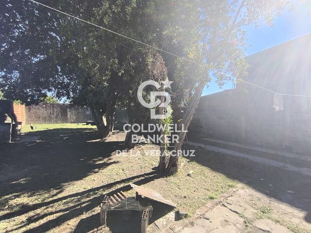 place photo 19