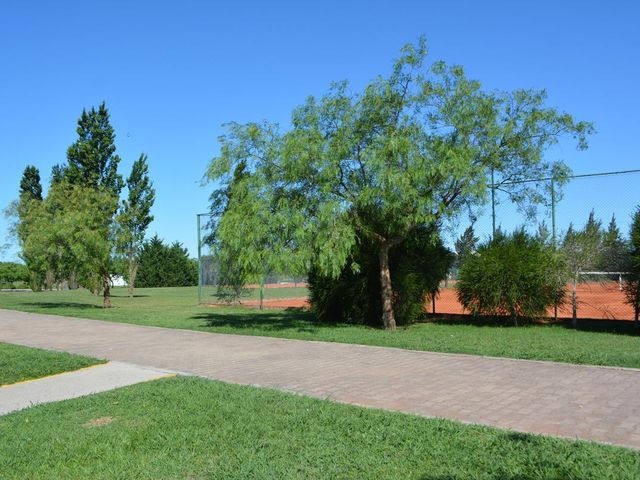place photo 25