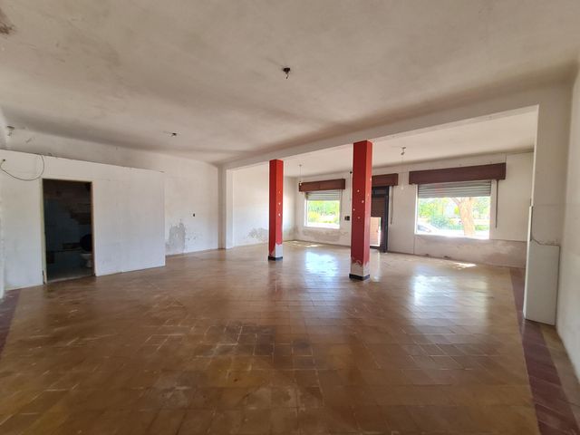 place photo 32