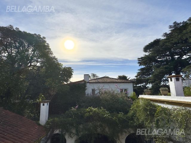 place photo 57