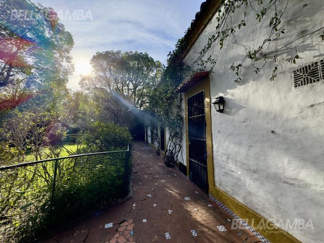 place photo 60