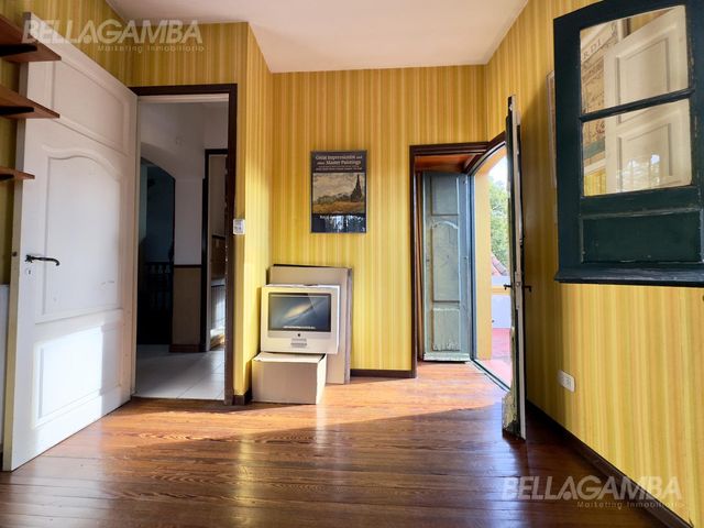place photo 47
