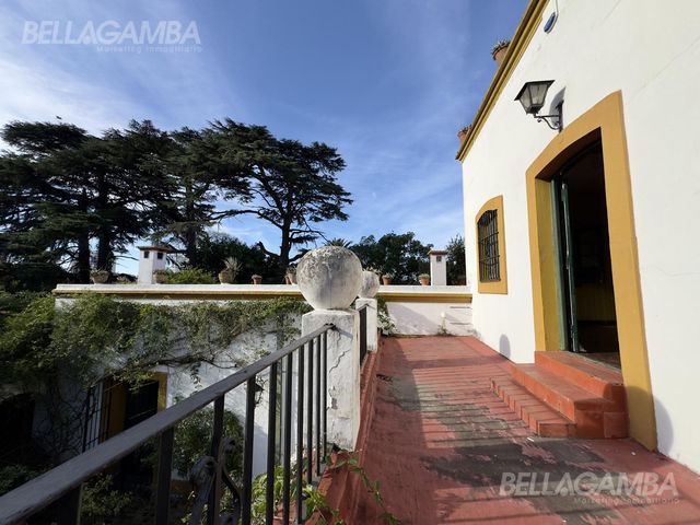 place photo 53