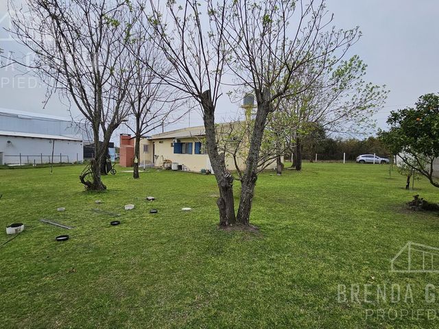 place photo 18