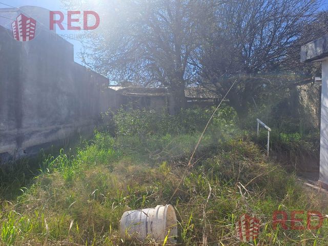 place photo 39