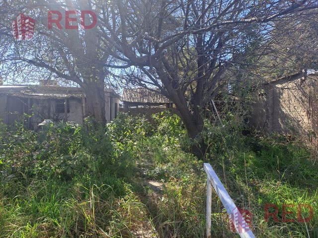 place photo 45