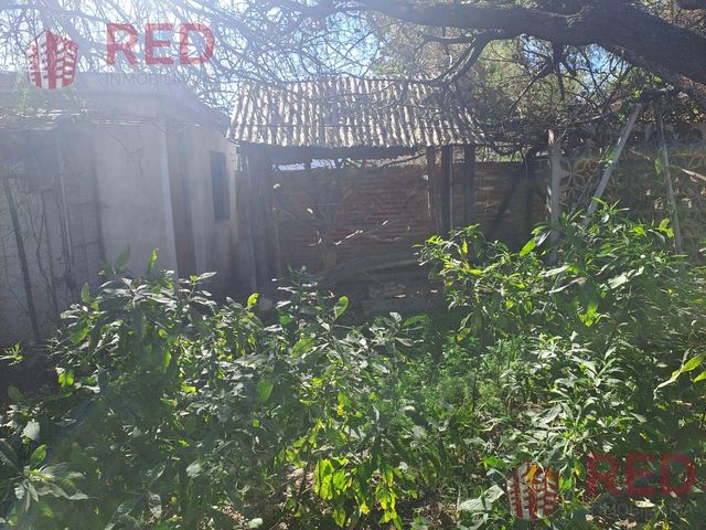 place photo 43