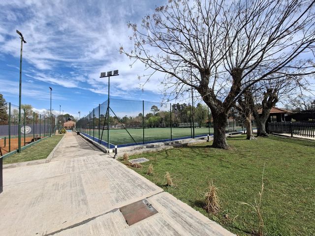 place photo 38