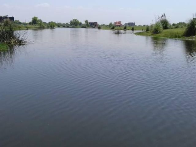 place photo 14