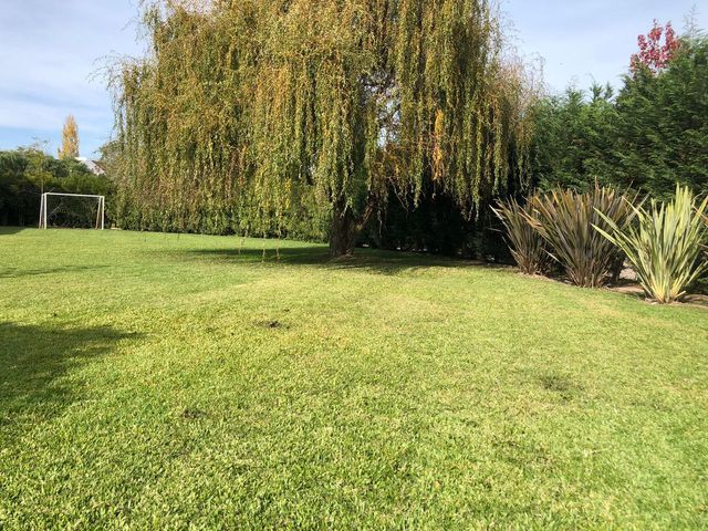 place photo 48