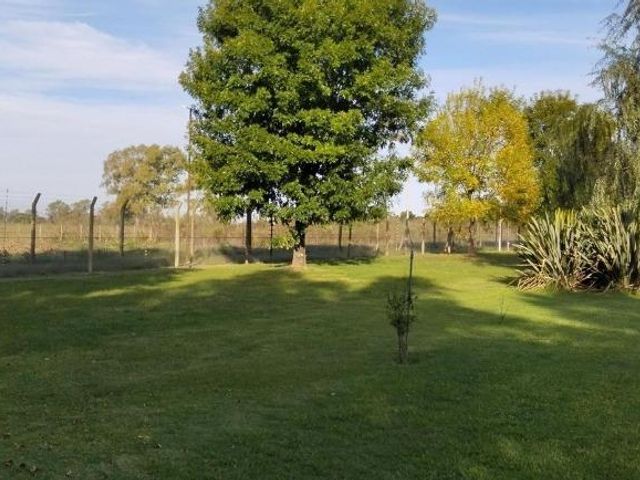 place photo 53
