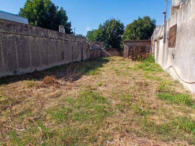 place photo 24
