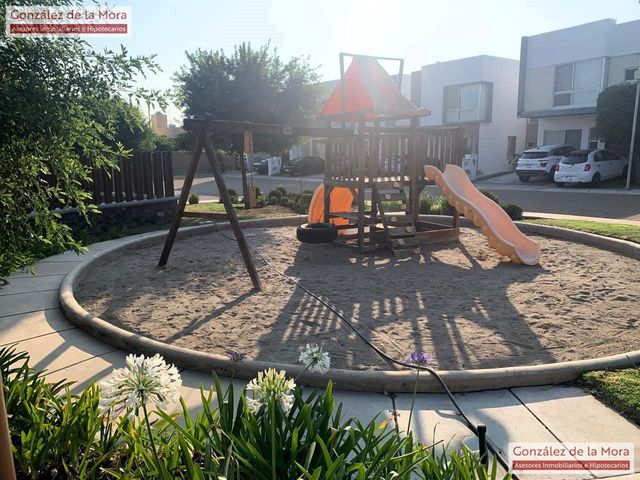 place photo 37