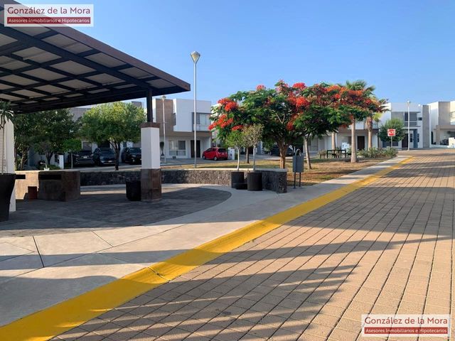place photo 41