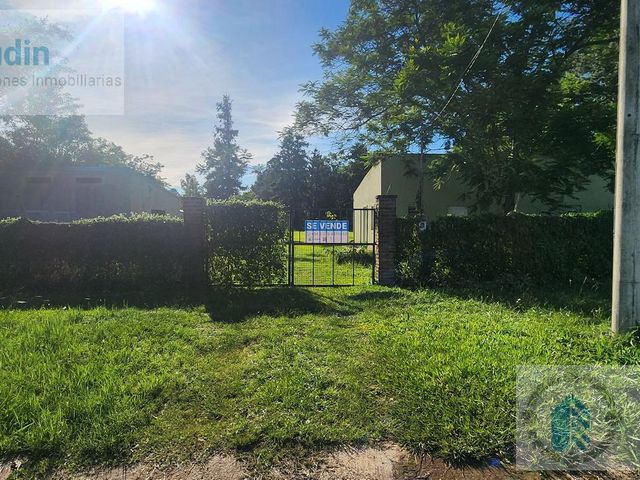 place photo 23