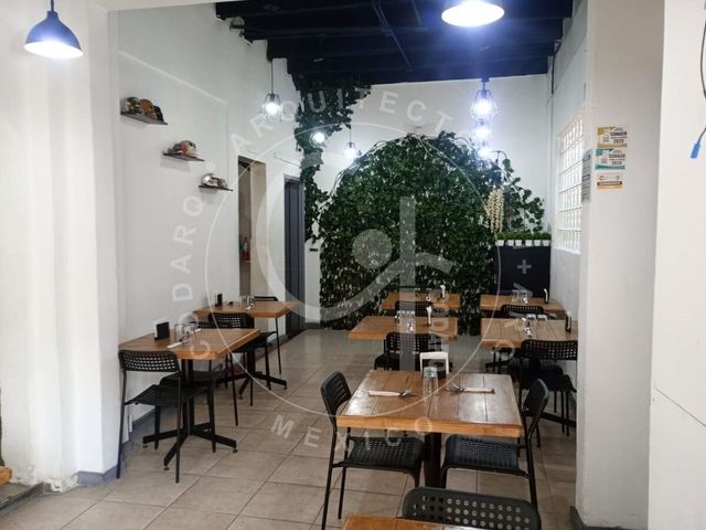 place photo 36
