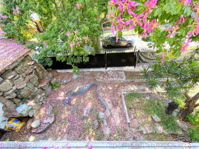 place photo 44
