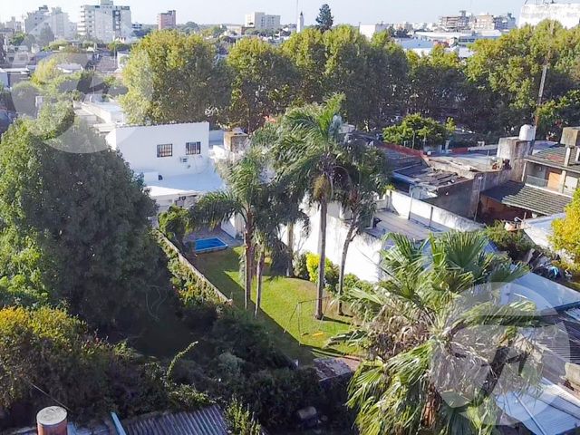 place photo 51