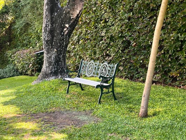 place photo 60
