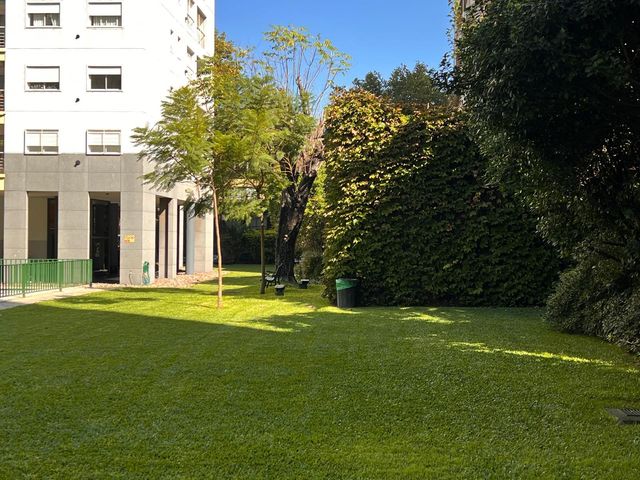 place photo 55