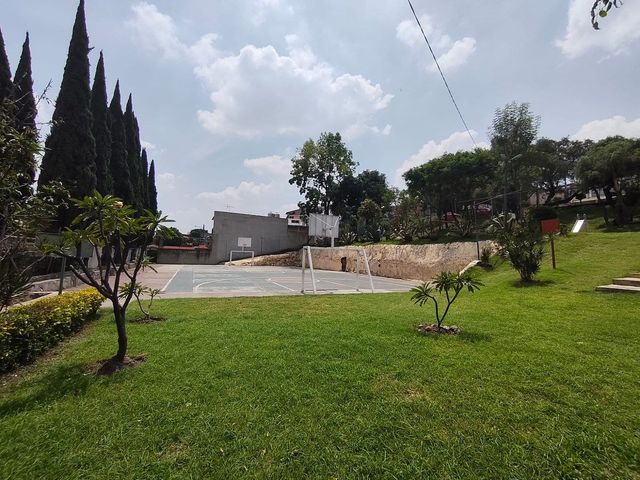 place photo 27