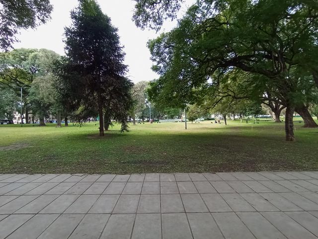 place photo 15