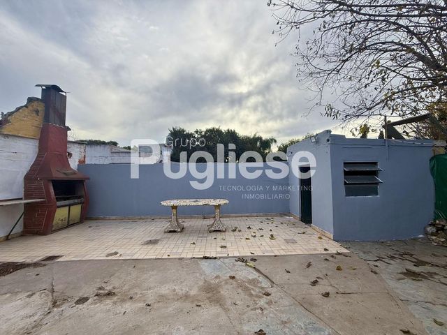 place photo 17