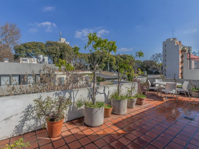 place photo 29