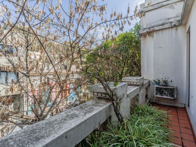 place photo 27