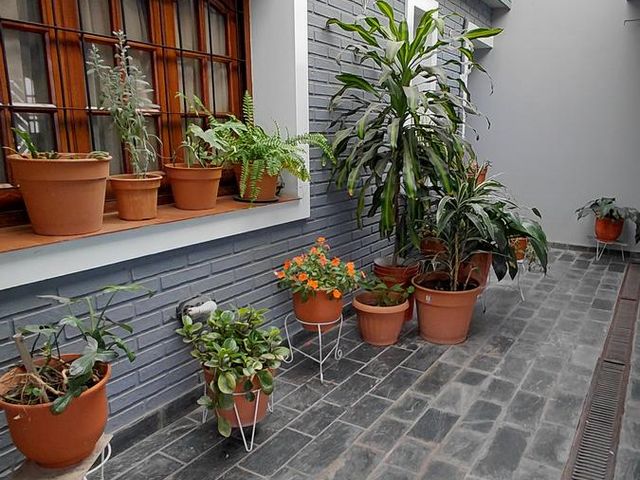 place photo 66