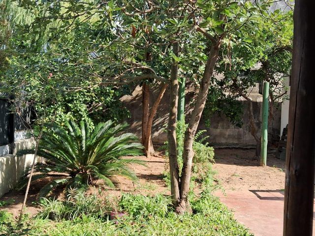 place photo 35
