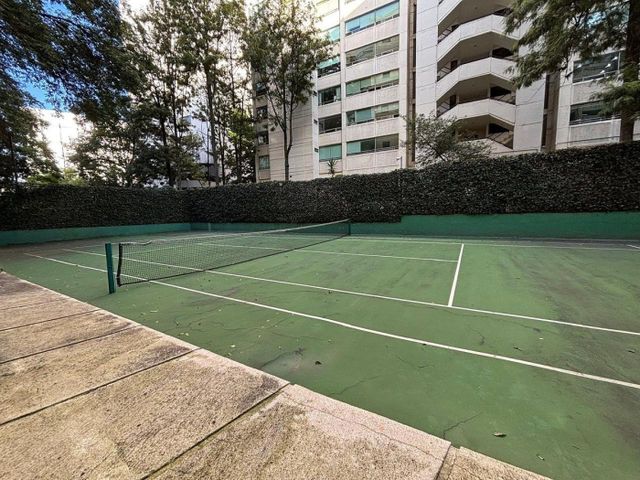 place photo 30