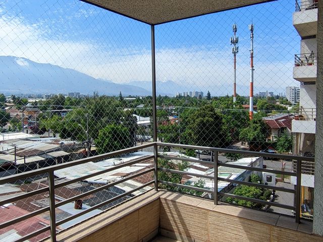place photo 14