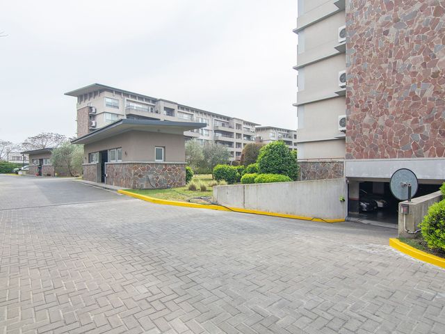 place photo 49